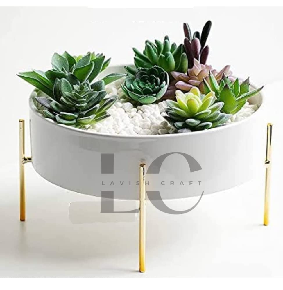 Lavish Craft Table top Mini Plant Stand for Artificial or Natural Iron Plants for Indoor Outdoor Home and Garden Decor Gold (White) (B0BRYMFDDY) Amazon Price History, Amazon Price Tracker