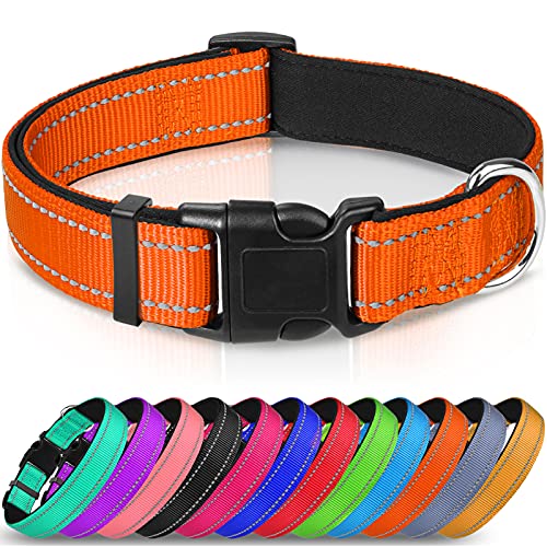 Joytale Collier pour Chien en Nylon avec Bande Réfléchissante,Collier Rembourré Classique pour Petit Chien,Orange,S Cover
