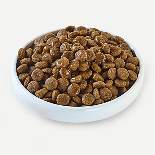 Applaws Taste Toppers 100% natürliche Hundefutter Topper, Hühnerbrühe für trockene Hundefutter 6 x 200g Beutel