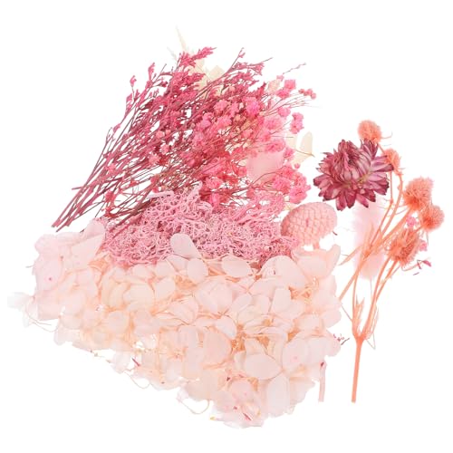 Flores secas prensadas para manualidades y decoración miniatura 1