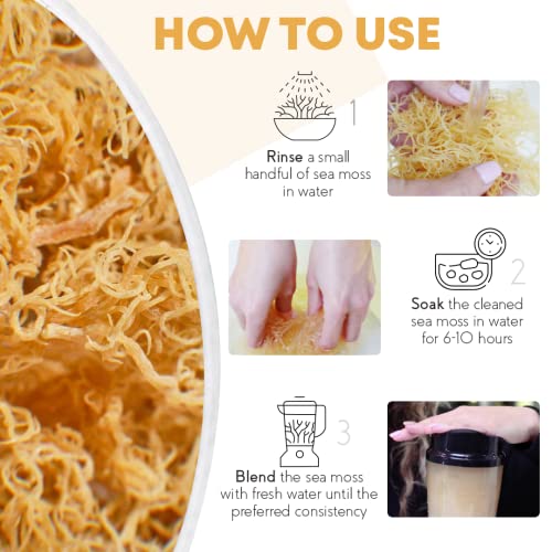 Organics Nature Raw Wildcrafted Sea Moss | Organic Wildcrafted & Non-GMO Certified | Dr Sebi Approved | Make 5 Jars of Sea Moss Gel | Immune Support, Energy &e Essential Minerals & Vitamins 4 oz