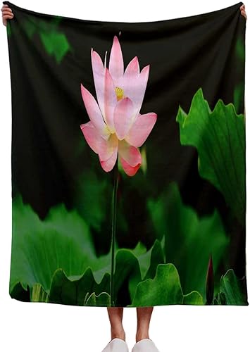 Throw Blankets for Living Room Scenic Landscape Cobijas para El Frio Party Decor 40inch X 50inch