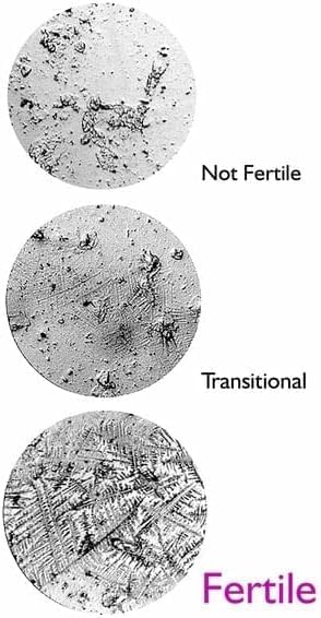 Miniatura 2 de Prueba de saliva de ovulación reutilizable en casa para sincronización de ciclo y fertilidad