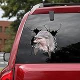 LiuXunJU Dolphin Crack Car Sticker Car Sticker, 3D Car Window Decals, Car Vinyl Sticker, Suitable for Wall, Car Glass Bumper Sticker, Refrigerator, Laptop 1Pcs