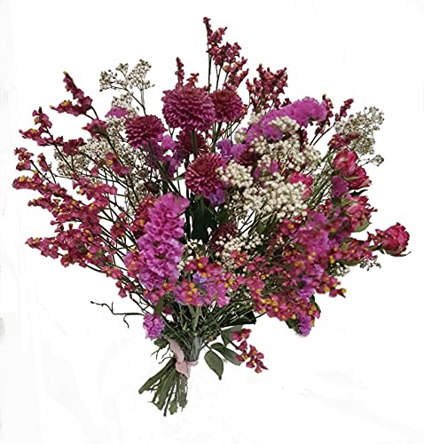 Trockenstrauß in Rosa von Flora Trans-mit getrockneten Blumen- Trockenblumenstrauß in Rosa Cover