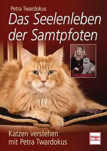 Das Seelenleben der Samtpfoten: Katzen verstehen mit Petra Twardokus