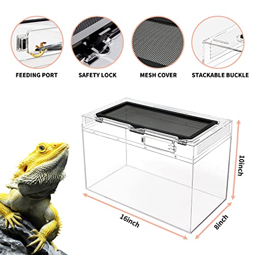 Reptile Growth RG-P03-PJ US Reptile Terrarium,16 Inch X 8"X 10 Inch Reptile Tank With Full View Visually Appealing,For Insect,Fish,Tarantula,Hermit Crab,Jumping Spider,Iguana,Tortoise,Leopard Gecko,Frog,Bearded Dragon thumb #2