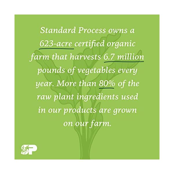 Standard Process Cardio-Plus - Antioxidant Support - Heart Health Supplement - Circulation & Blood Flow Supplement with Vitamin B6, Niacin & Riboflavin - Energy Metabolism Supplement - 330 Tablets