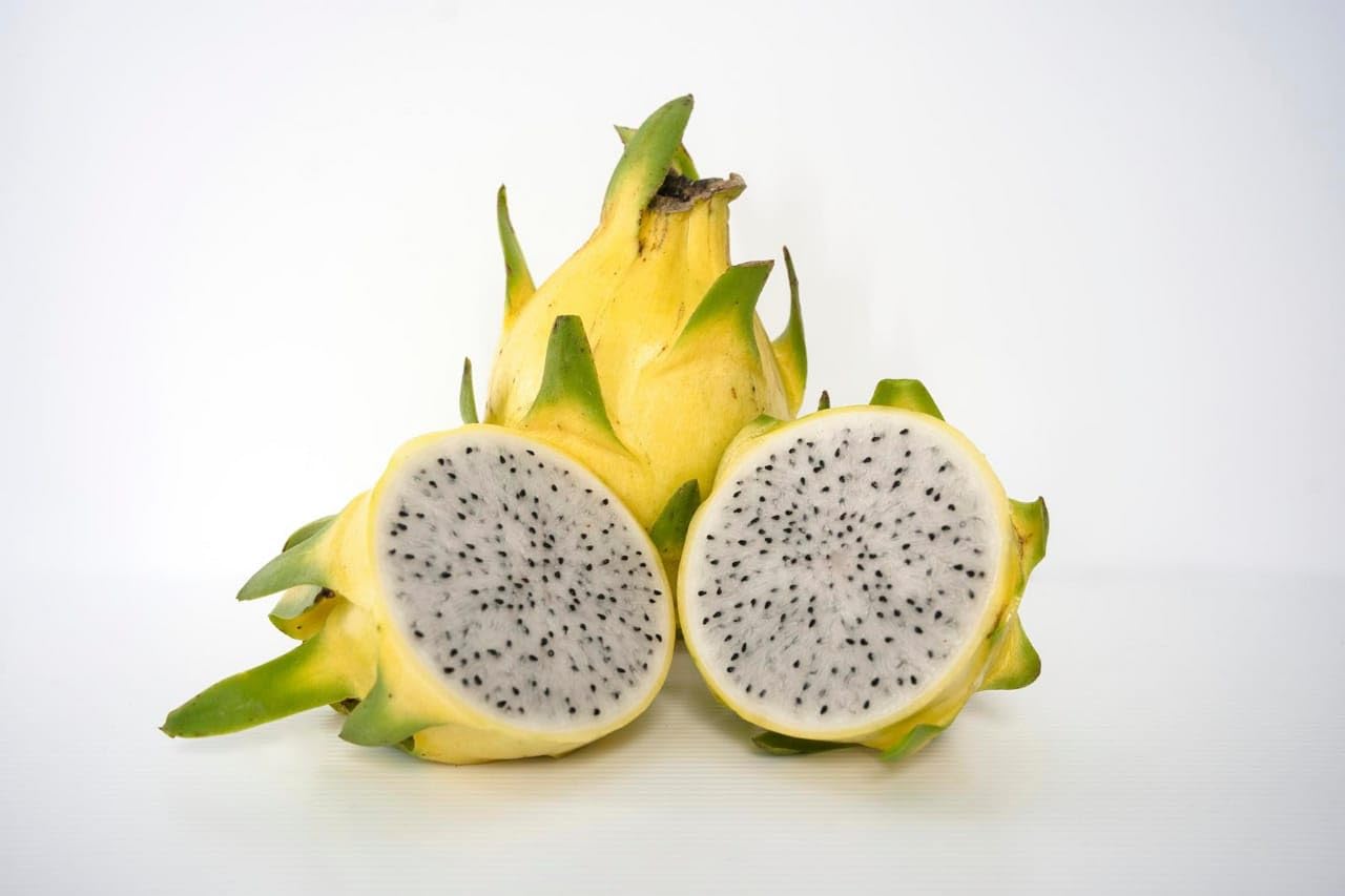 Yellow Dragon Live Plant - Grow Your Own Exotic Yellow Dragon Fruit at Home (B0CQM8TDL3) Amazon Price History, Amazon Price Tracker