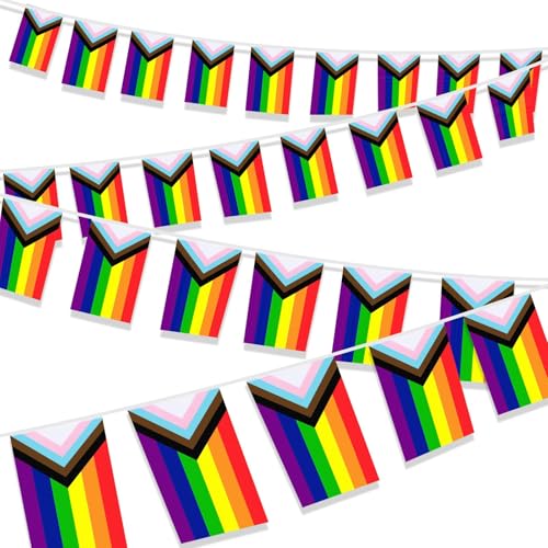 Banderas de orgullo del progreso largas para decorar espacios grandes sin comprar de más 2