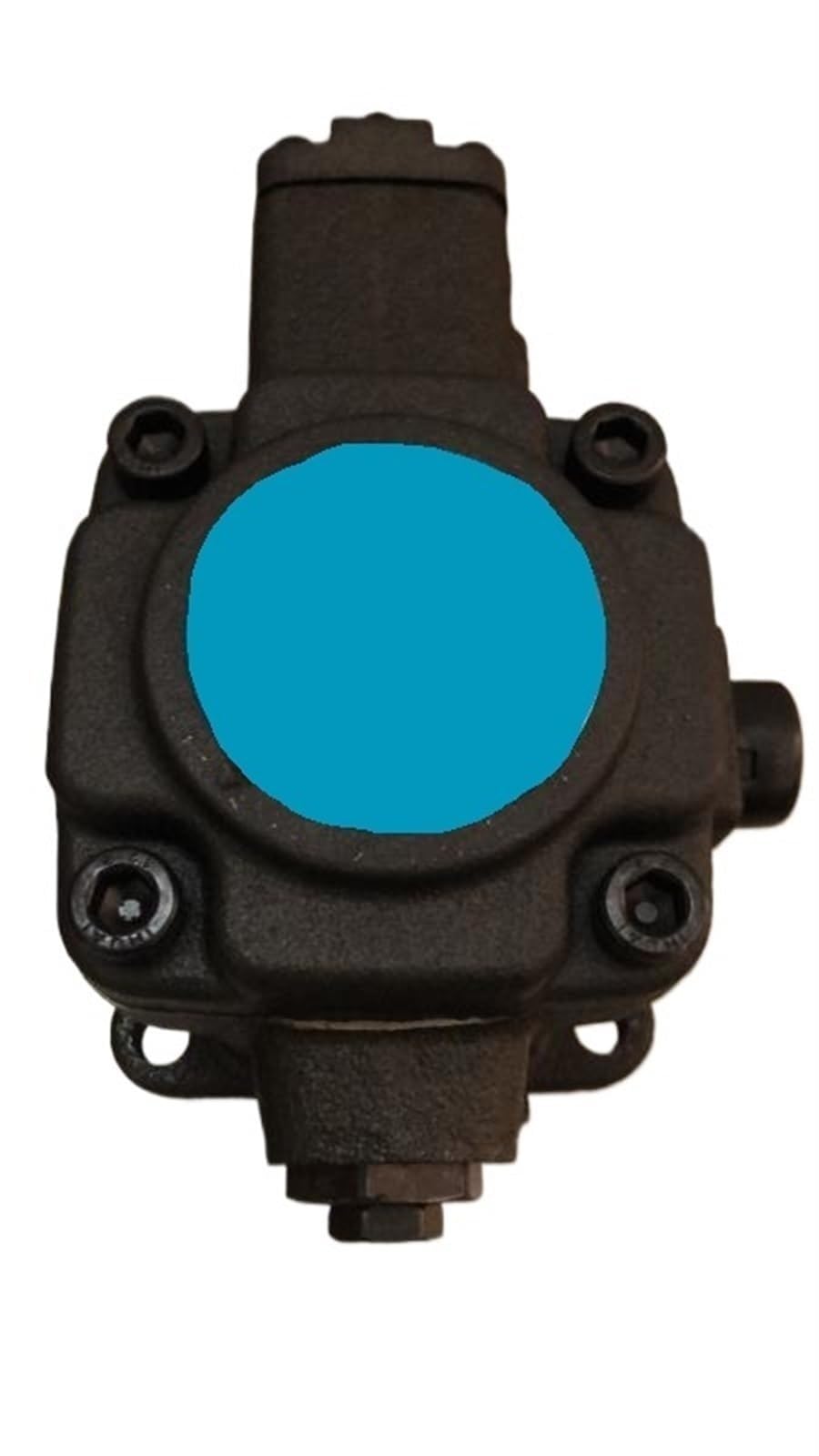 KXIWLUFV Hydraulic Gear Pump Vane Variable Model:CEVP-F30-A1
