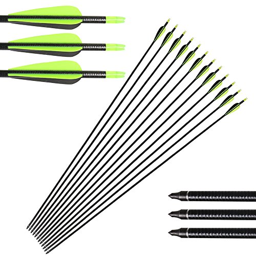 TOPARCHERY 12本32インチ矢 グラスファイバー アーチェリー&狩猟用矢 交換用ねじ込み式トレーニングポイントを装備