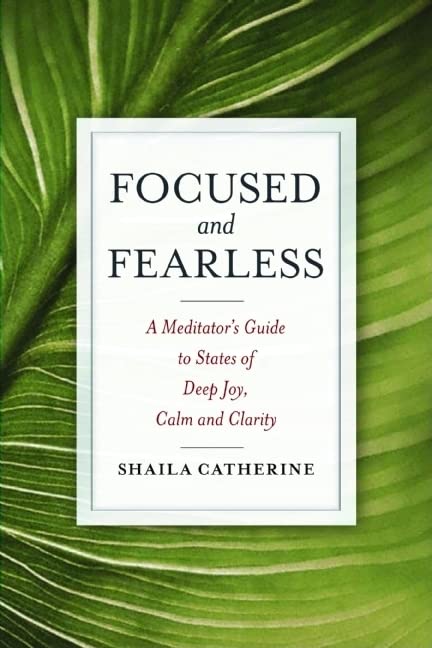 Focused and Fearless: A Meditator's Guide to States of Deep Joy, Calm, and Clarity