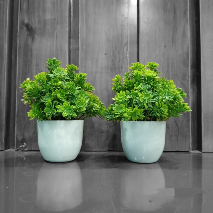 office cherry plant with pot for living room garden bonsai decor