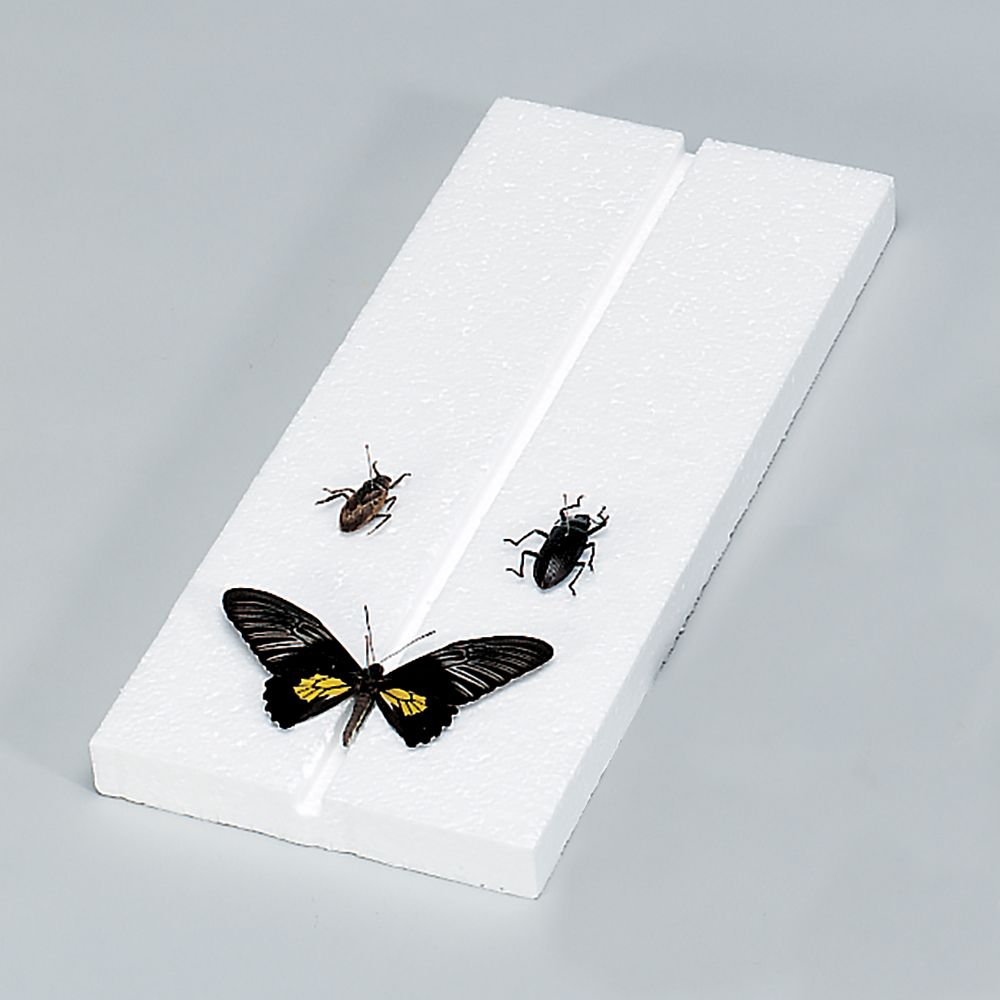 Insect Mounting Board, Styrofoam, Pack Of 10
