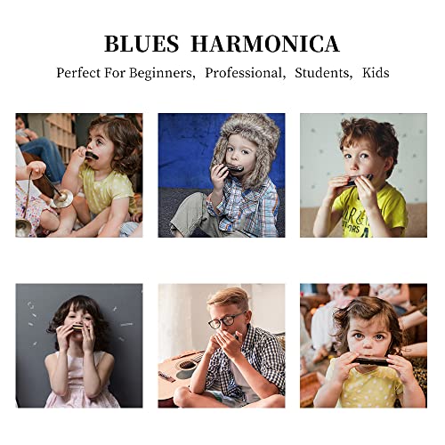 Eavnbaek EA Vnbaek 10 Holes 20 Tones Blues Harp Mouth Organ Harmonica, Diatonic Blues Harmonica Key Of C thumb #5
