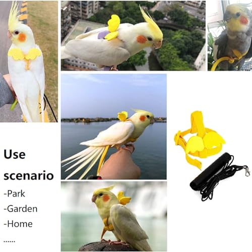 Haustier Papagei Vogel Geschirr und Leine,Papageien Vogelgeschirr,Vogel Geschirr Leine,Fluggeschirr Verstellbares,Verstellbares Geschirr für Papageien für den Außenbereich Geeignet für Papageien
