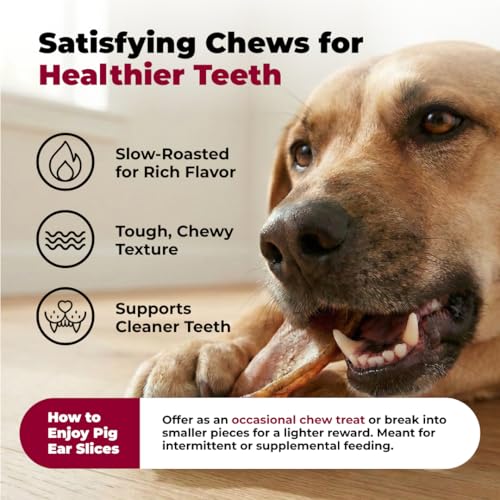Image of Best Pet Supplies GigaBite Roasted Pig Ear Slivers for Dogs, 1.8 Pounds - Natural Dog Chews that Help Clean Teeth and Gums Safe for Puppies and Aggressive Chewers