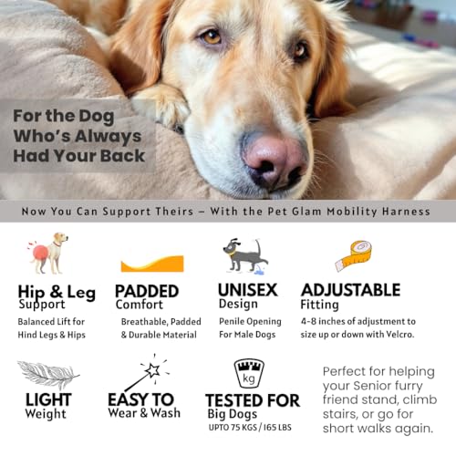 Image of Mobility Support Harness for Dogs - Loki-S | Adjustable Lift Harness with Pee Opening, No Removal Needed, Rear & Full Body Support, Padded Sling for Elderly & Injured Dogs | Black