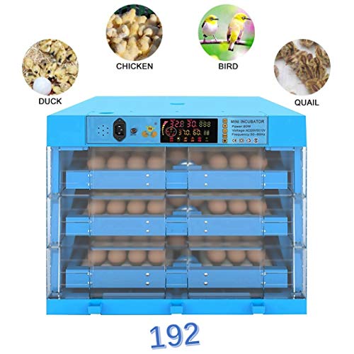 ZFF 192 Egg Incubator Automatic Turning Eggs Poultry Hatcher Temperature And Humidity Control For Quails Pigeon Chickens Ducks Goose