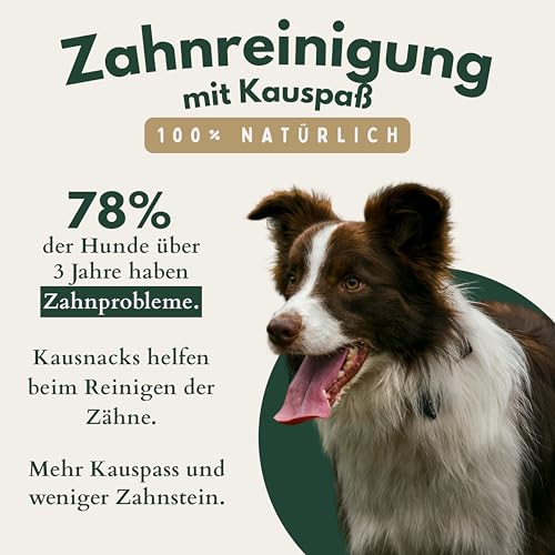 BREERs Getrocknete Rinderkopfhaut mit Fell für Hunde 10 Kg getreidefrei, Deutsche Herstellung, Leckerli Hundekauartikel Kauartikel große Hunde