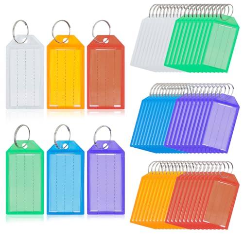 AiQInu 60 Piezas Llaveros de Plástico para Escribir con Llaveros, Etiquetas Llaves Identificador, Etiquetas para Llaves Escribible, para Equipaje Marcar Llaves Maletas Mascotas Oficina, 6 Colores