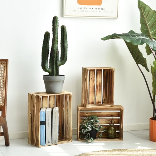 EMAX HOME Conjunto de 3 caixas de madeira – Caixas grandes de madeira rústica para decoração, exibiç