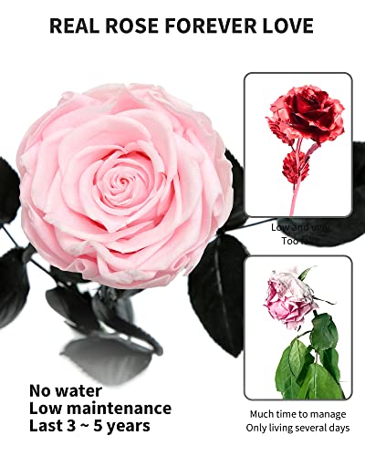 Image of Pink Flowers for Delivery Prime, Preserved Pink Roses Flower Gifts for Women, Real Roses Single Rose Gifts for Her, Mom Birthday Gifts from Daughter, Valentines Flowers