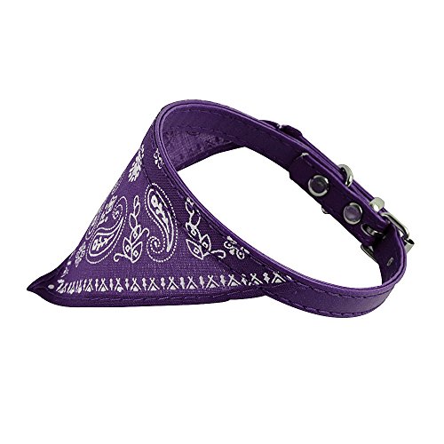 Image of Adjustable Scarf Cum Bandana Cum Neckerchief Collar for Puppy /Cat /Kitten (Purple)