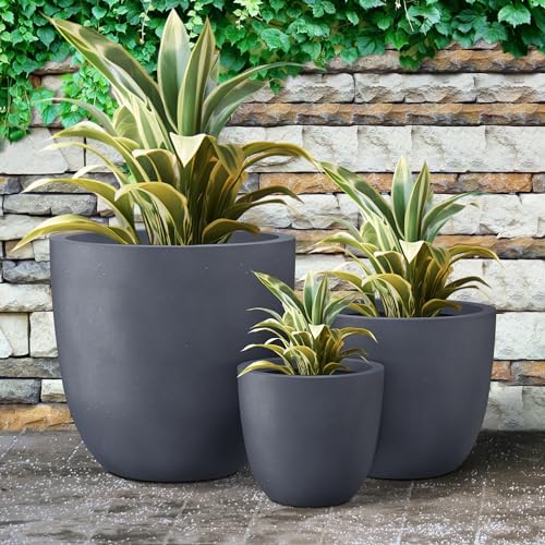 Image of Kante Set of 3 Charcoal Concrete Bowl Round Planters for Modern Home