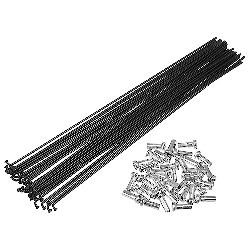 Rayons de vélo noir 14G 234mm Quarkzman rayons acier carbone avec écrous pour roue arrière vtt