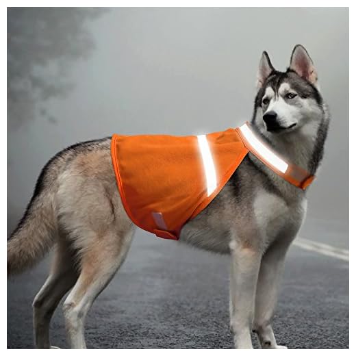 BSEEN Reflective Dog Vest High Visible Dog Jacket with Adjustable Strap & Lightweight Material Protects Your Dog Safe from Cars & Hunting (Large[Neck:18.8-22”,Chest:26.7-30.7”,Lenght:15.7"], Orange)