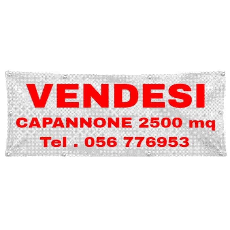 GLOBAL STRISCIONE FONDALE VENDESI AFFITASI - VENDESI - STRISCIONE PERSONALIZZATO IN CARTA O IN BANNER PVC ANCHE DA ESTERNO GARANZIA 5 ANNI (BANNER, 300X100 CM)
