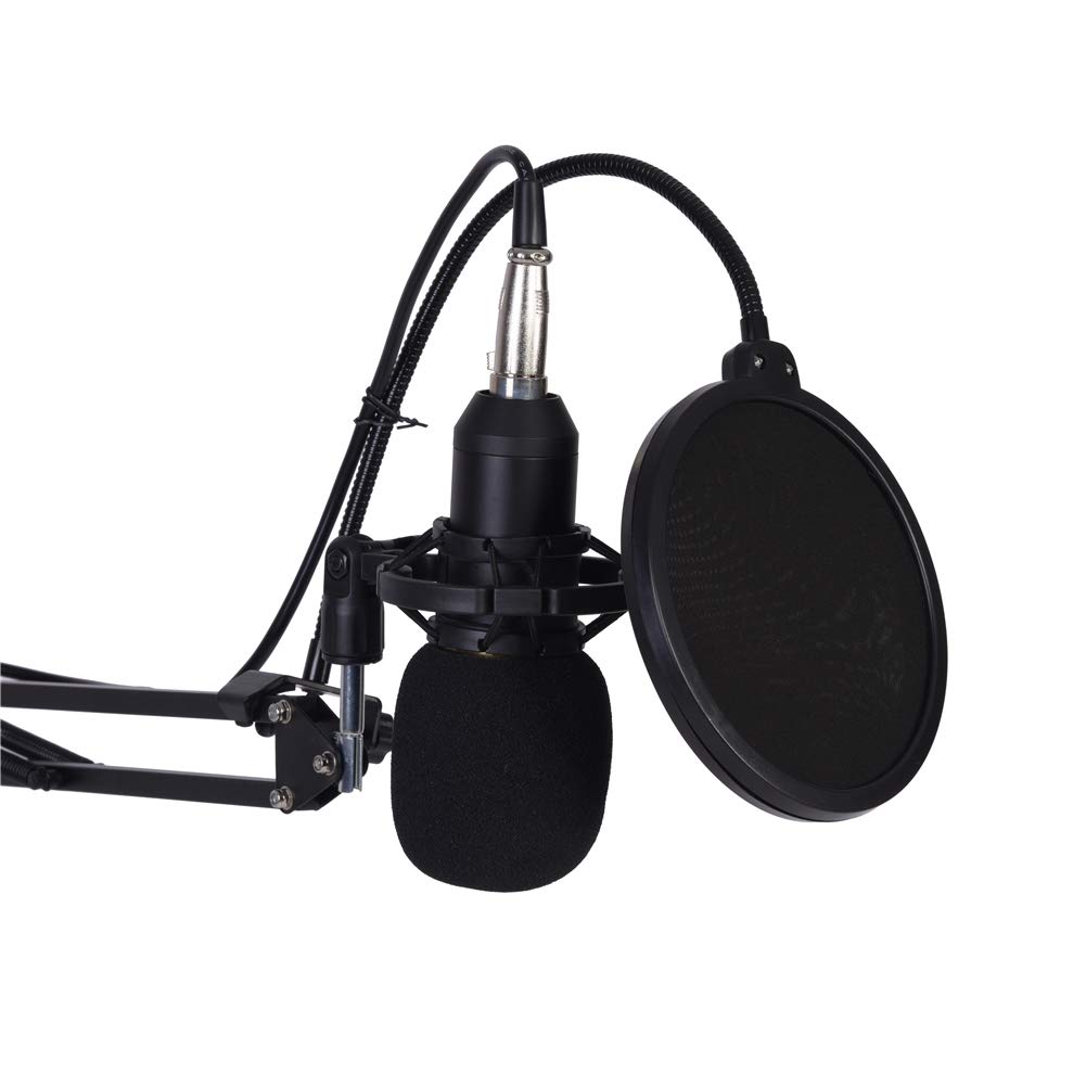 Wakects Microfono a Condensatore BM800, Kit con Filtro Anti-Pop, Braccio di Supporto, Shock Mount, per Registrazione Studio Podcasting Broadcasting