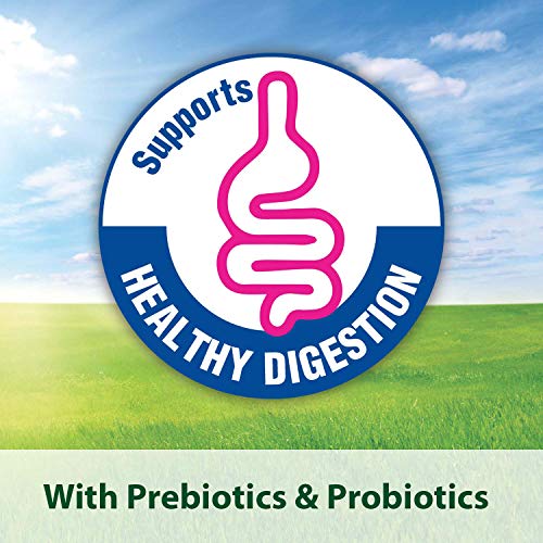 Kaytee-Fiesta-Cockatiel-Pet-Bird-Food-45-Pound