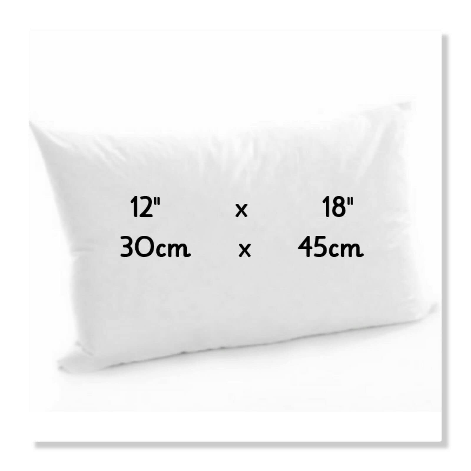 Arlinens White Soft Bouncy Rectangle Oblong Hollow Fibre Plump Scatter Pillows-Double Stitched Edges-Inners Inserts Fillers Pads For Sofa Bed & Couch (1, 12X18)
