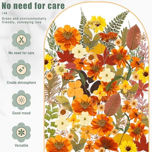 Flores secas prensadas de otoño para manualidades miniatura 4