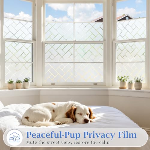 Image of Coavas Frosted Window Privacy Film Static Cling Non-Adhesive for Glass Windows, Heat Control UV Blocking Sun Blocking Anti Glare, Day and Night Bathroom Home Office Cover, 35.4 inchx78.7 inch