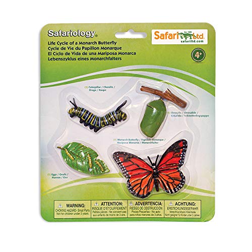 Safari Ltd. Life Cycle of a Monarch Butterfly - Educational Toy Figurines - Miniature Butterfly Lifecycle Collection for Boys, Girls & Kids Age 4+