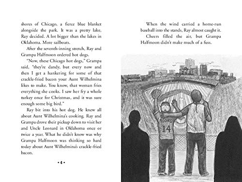 Image of Indian Shoes: A Heartwarming Chapter Book about a Cherokee-Seminole Boy's Adventures with His Grampa for Children (Ages 6-10)