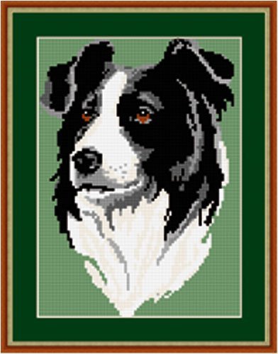 Brigantia Needlework Border Collie Tapestry Picture Kit in Tent Stitch