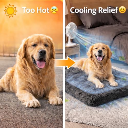 Image of ZEXSAZONE High-Density Rebond Foam Cooling Dog Bed for Summer | 90 x 60 CM Large Soft Rectangular Pet Bed | Washable Thick Cushion with Anti-Slip Bottom | Indoor Use (Large, Grey)