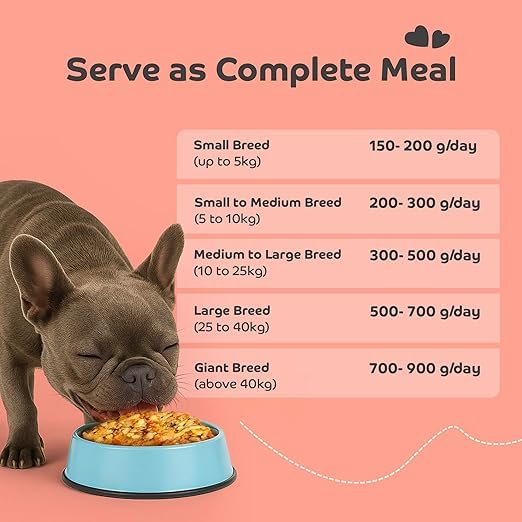 Image of Fresh Fish Meal Dog Food for Adult Dogs | High-Protein Fish Recipe with Omega for Healthy Skin & Coat | Easy Digestion & Complete Balanced Nutrition | 100g x 2