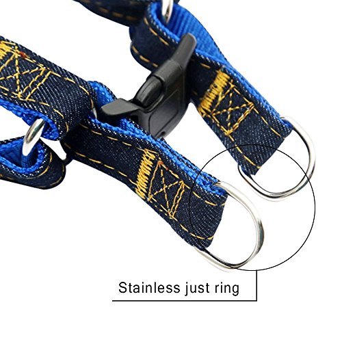 Sopito Cablaggio dell'animale Domestico, Jean Cane...