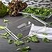 Carlisle FoodService Products Storplus 1/2-Size Food Pan Lid for Catering, Buffets, and Restaurants, Polycarbonate, 12.75 x 10.38 Inches, Clear