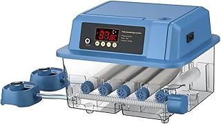 gazechimp Incubadora automática de ovos, máquina incubadora de ovos pequena, chocadeira doméstica, ferramenta incubadora de pintinhos, ovos para incubação de, 12 ovos