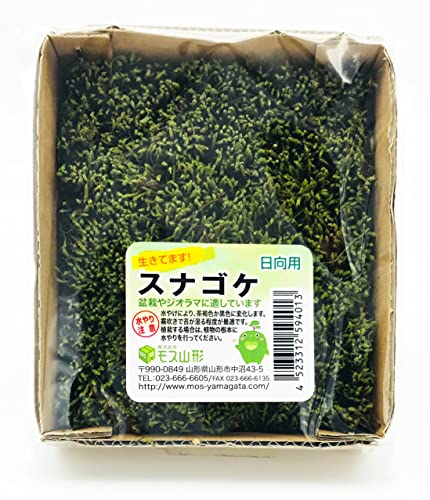 XR` ~͗pRPpbP[W XiSP 14cmX12cm MS-1 