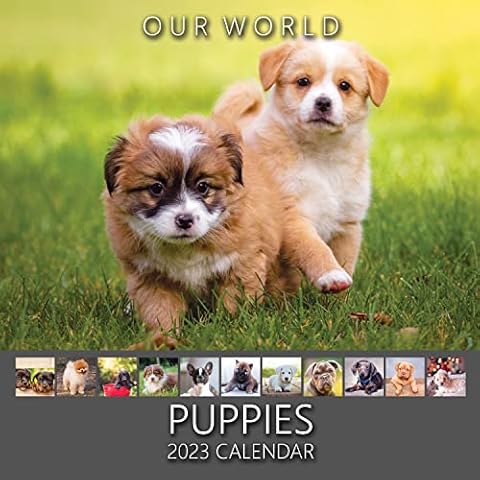 Our World Puppy Wall Calendar 2023 - Family Planner & Daily Organiser with Monthly Puppies Calendar Image - Dog Lover Gift, Christmas Stocking Filler & Slim Design 2023 Wall Planner Cover