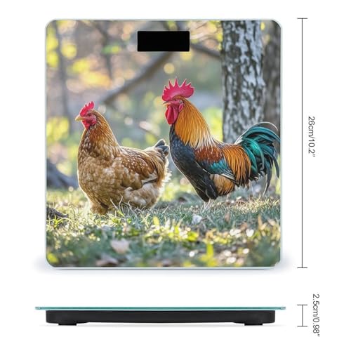 Báscula digital de baño con diseño de gallo y vidrio templado miniatura 2