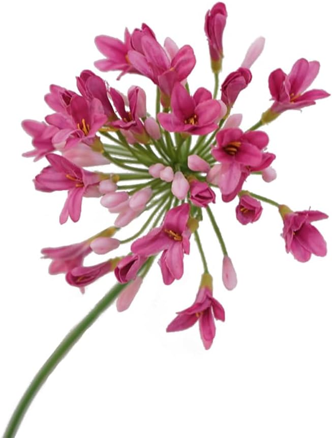 BQEE Artificial Flowers 3PCS African agapanthus Fake Silk Rose for Wedding Centerpieces (Pink) BQEE Artificial Flowers 3PCS African agapanthus Fake Silk Rose for Wedding Centerpieces (Pink)